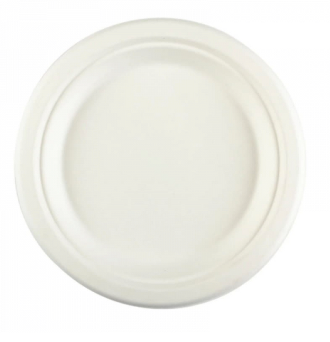 Bagasse 9" Paper Dinner Plates 500/cs